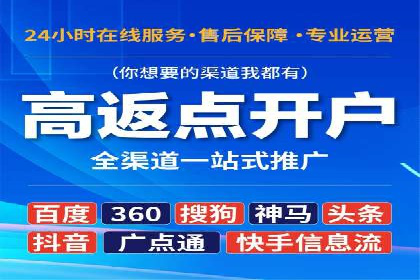 行业首例：SEM竞价优化案例的成效与启示